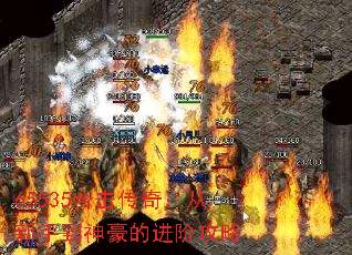 65535ϻ棺ֵĽ׹