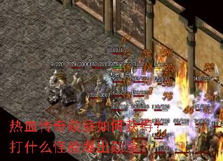 ��Ѫ����ѫ����λ�ã���ʲô���ܱ���ѫ�£�