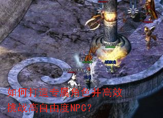 ��δ���ר����ɫ����Ч��ս�����ɶ�NPC��