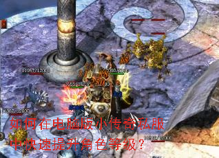 ����ڵ��԰�С����˽���п���������ɫ�ȼ���
