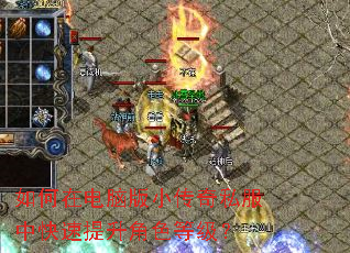 ����ڵ��԰�С����˽���п���������ɫ�ȼ���
