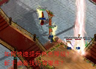如何快速提升角色等级?新手必备技巧有哪些? 如何快速提升角色等级?新手必备技巧有哪些?