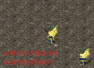 ������Ӻ����洫��˽����������ս����