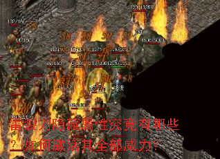 ���ѵ��������Ծ�������Щ����μ�����ȫ��������