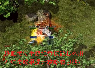 ��Ѫ�������κ춾������ô�ã��춾Ч��������������Щ��