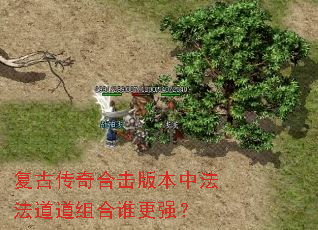 复古传奇合击版本中法法道道组合谁更强? 复古传奇合击版本中法法道道组合谁更强?