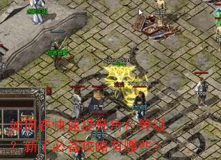 如何在快速提升角色等级?新手必备攻略有哪些? 如何在快速提升角色等级?新手必备攻略有哪些?