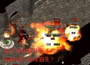 鱼人哥如何从新手村逆袭成为全服霸主? 鱼人哥如何从新手村逆袭成为全服霸主?