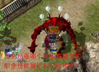 传奇私服哪个网站有最全的职业技能解析和升级攻略? 传奇私服哪个网站有最全的职业技能解析和升级攻略?