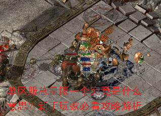 单区服总量限一个究竟是什么意思?新手玩家必看攻略解析 单区服总量限一个究竟是什么意思?新手玩家必看攻略解析