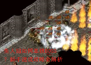 鱼人姐如何单挑BOSS?新手速成攻略全解析 鱼人姐如何单挑BOSS?新手速成攻略全解析