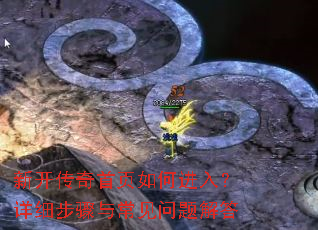 �¿�������ҳ��ν��룿��ϸ�����볣��������