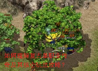 如何理解复古单职业传奇及其核心玩法攻略? 如何理解复古单职业传奇及其核心玩法攻略?