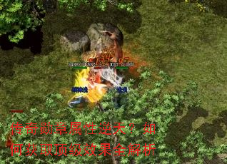 ����ѫ���������죿��λ�ȡ����Ч��ȫ����