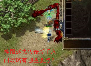 神雕迷失传奇新手入门攻略有哪些要点? 神雕迷失传奇新手入门攻略有哪些要点?