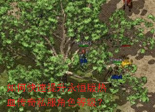 如何快速提升永恒版热血传奇私服角色等级? 如何快速提升永恒版热血传奇私服角色等级?