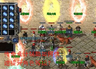 传奇合计辅助如何快速提升角色等级? 传奇合计辅助如何快速提升角色等级?