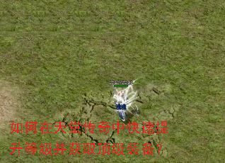 如何在天堂传奇中快速提升等级并获取顶级装备? 如何在天堂传奇中快速提升等级并获取顶级装备?